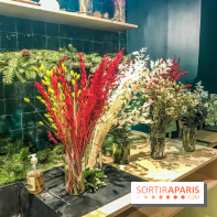 Bergamotte, le lieu de vie dédié au végétal