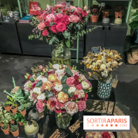 Bergamotte, le lieu de vie dédié au végétal