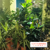 Bergamotte, le lieu de vie dédié au végétal