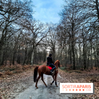 visuel île de france - balade forêt - nature - cheval