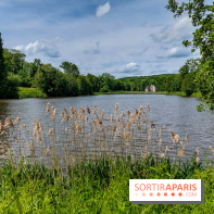 visuel Paris - île de France - nature - forêt