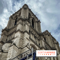 visuel Paris visuel  - notre dame 