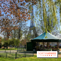 Visuel Paris Tour Eiffel, printemps