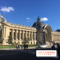 Visuel Paris Petit Palais
