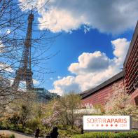 Visuel Paris, tour eiffel - Musée du Quai Branly