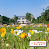 Visuel jardin des plantes Paris