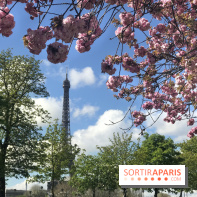 Visuel Paris, Tour Eiffel printemps
