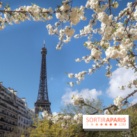 Visuel Paris, Tour Eiffel printemps