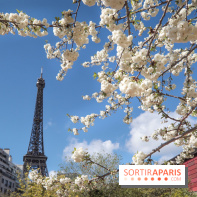 Visuel Paris, Tour Eiffel printemps