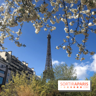 Visuel Paris, Tour Eiffel printemps