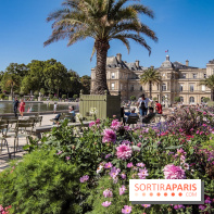 Visuel Paris jardin du luxembourg