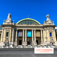 Visuel Paris Grand Palais