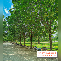 Visuel Paris Jardin des Tuileries