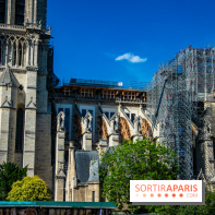 Visuel Paris Notre Dame chantier