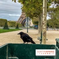 Visuel Paris Vendredi 13