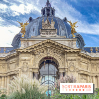 Visuel Paris Petit Palais