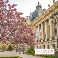 Visuel Paris arbres en fleurs, jardins, parc Petit Palais