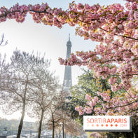Visuel Paris Tour Eiffel cerisiers en fleurs