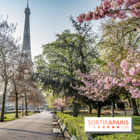 Visuel Paris Tour Eiffel cerisiers en fleurs