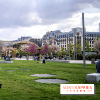 Visuel Paris Jardin Nelson Mandela cerisiers en fleurs