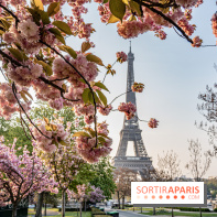 Visuel Paris Tour Eiffel cerisiers en fleurs