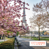 Visuel Paris Tour Eiffel cerisiers en fleurs