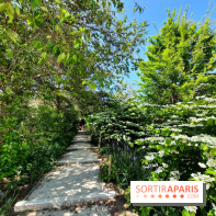 Visuel Paris parc Martin Luther King