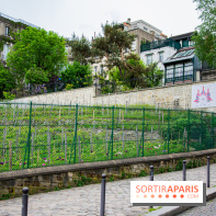 Visuel Paris vignes Montmartre