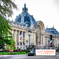 Visuel Paris petit palais
