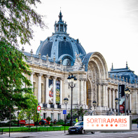 Visuel Paris petit palais