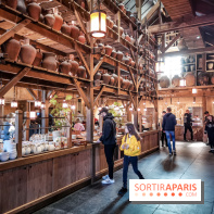 Cité Suspendue, le nouvel hôtel 2018 du Parc Astérix : nos photos