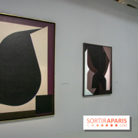 Exposition Vasarely Centre Pompidou, nos photos