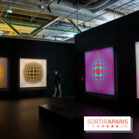 Exposition Vasarely Centre Pompidou, nos photos