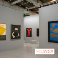 Exposition Vasarely Centre Pompidou, nos photos