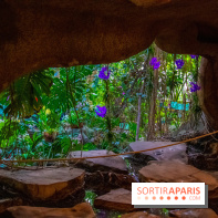 Mille et une Orchidées 2019 au Jardin des Plantes, les photos