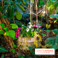 Mille et une Orchidées 2019 au Jardin des Plantes, les photos