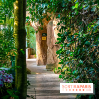 Mille et une Orchidées 2019 au Jardin des Plantes, les photos