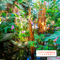 Mille et une Orchidées 2019 au Jardin des Plantes, les photos