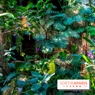 Mille et une Orchidées 2019 au Jardin des Plantes, les photos