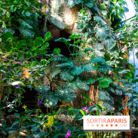 Mille et une Orchidées 2019 au Jardin des Plantes, les photos