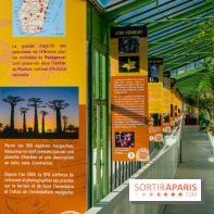 Mille et une Orchidées 2019 au Jardin des Plantes, les photos