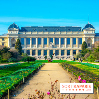 Mille et une Orchidées 2019 au Jardin des Plantes, les photos