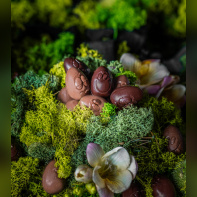 Edwart 2019 - Collection de Pâques 2019