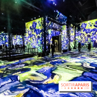 Exposition Van Gogh à l'Atelier des Lumières, les photos