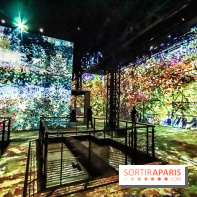 Exposition Van Gogh à l'Atelier des Lumières, les photos