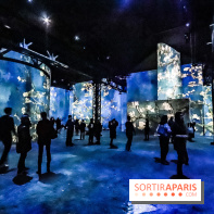 Exposition Van Gogh à l'Atelier des Lumières, les photos