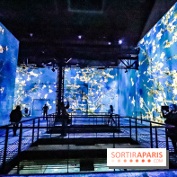 Exposition Van Gogh à l'Atelier des Lumières, les photos