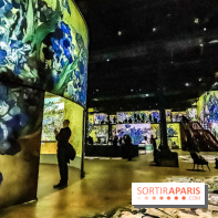 Exposition Van Gogh à l'Atelier des Lumières, les photos