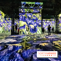 Exposition Van Gogh à l'Atelier des Lumières, les photos