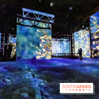 Exposition Van Gogh à l'Atelier des Lumières, les photos